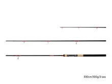 Delphin Prut LEEDER Feeder + 2 špičky 360cm/100g/3 díly (1)