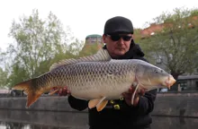 Mivardi Rapid Easy Catch - Česnek & Chilli (5)