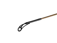 Delphin LEGIA CarpMATCH 390cm/75g/3 díly (4)