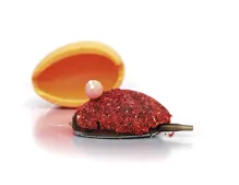 Mivardi Method feeder mix (8)