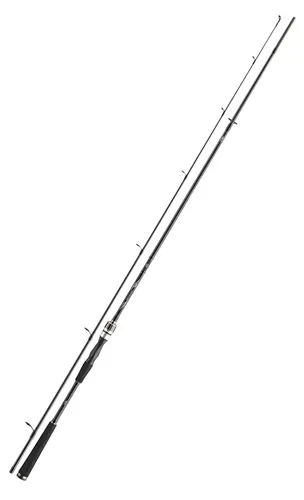 Daiwa Prut Exceler Spin 2.70m 20-60g