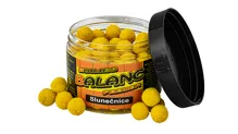 Carpservis Boilies Balanc Feeder - 80 g/12 mm (9)