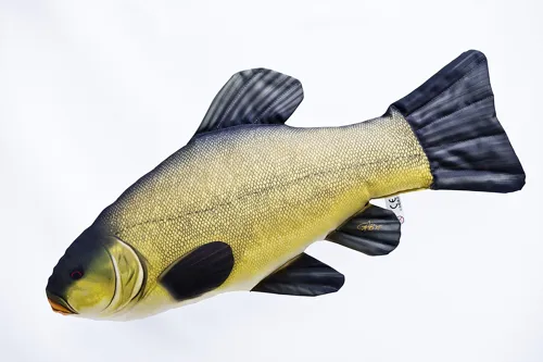 Polštář Lín Obecný 60 cm