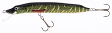 Jaxon Wobler HS Pike 14,0cm