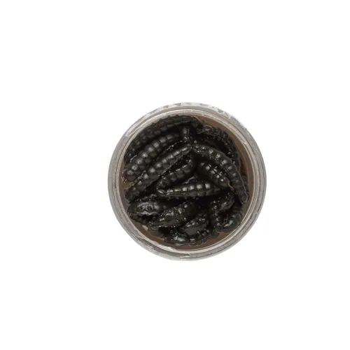 Vosí larva Berkley Powerbait Honey Worm 2,5cm