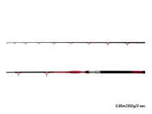 Delphin DANGER CatFISH (2)