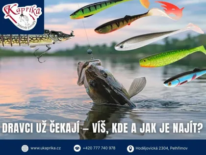 Dravci už čekají — víš kde a jak je najít?