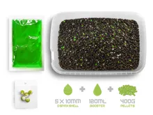 Delphin Pellet box Reaxe READY&GO400g+120ml booster+10mm wafters (2)