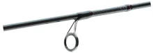 Daiwa Prut Ninja X Spoon 1.95m 2-6g (3)