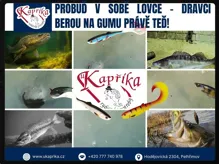 Probuď v sobě lovce – dravci berou na gumu právě TEĎ!