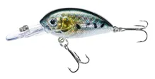 Jaxon Wobler ATRACT ARIS 4,0cm Barva C