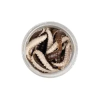 POWERBAIT HONEY WORM 2,5CM (1)