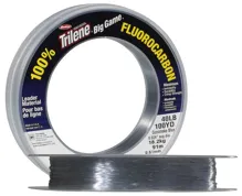 Fluorocarbon Berkley BIG