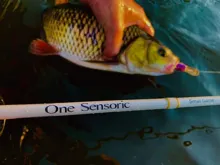 Lucky John prut One Sensoric Small Game (1)