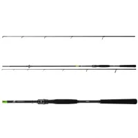 Daiwa Prut PROREX X Spin 2.40m 15-50g (1)