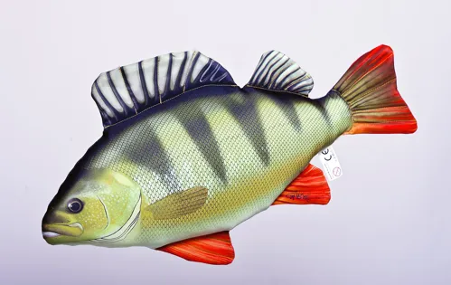 Polštář Okoun říční 50 cm
