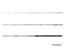 Delphin LEGIA CarpMATCH 390cm/75g/3 díly (1)