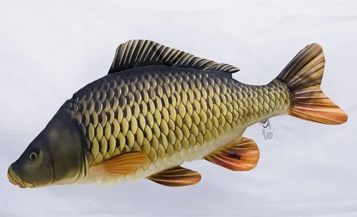 Polštář Kapr šupináč 64 cm