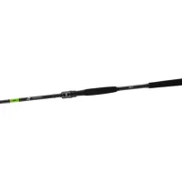 Daiwa Prut PROREX X Spin 2.70m 10-30g (2)