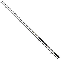 Daiwa Prut Crossfire Spin 2,40m 15-40g (2)