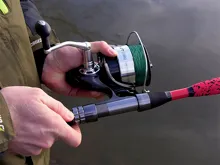 Delphin DANGER CatFISH (9)