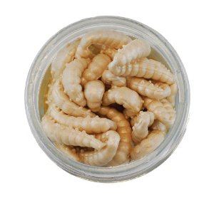 Vosí larva Berkley Powerbait Honey Worm 2,5cm