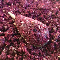 LK Baits IQ Method Ready Mix 600g (3)