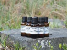 Aroma Carp Only Absolut Plum 100% Pure 30ml (1)